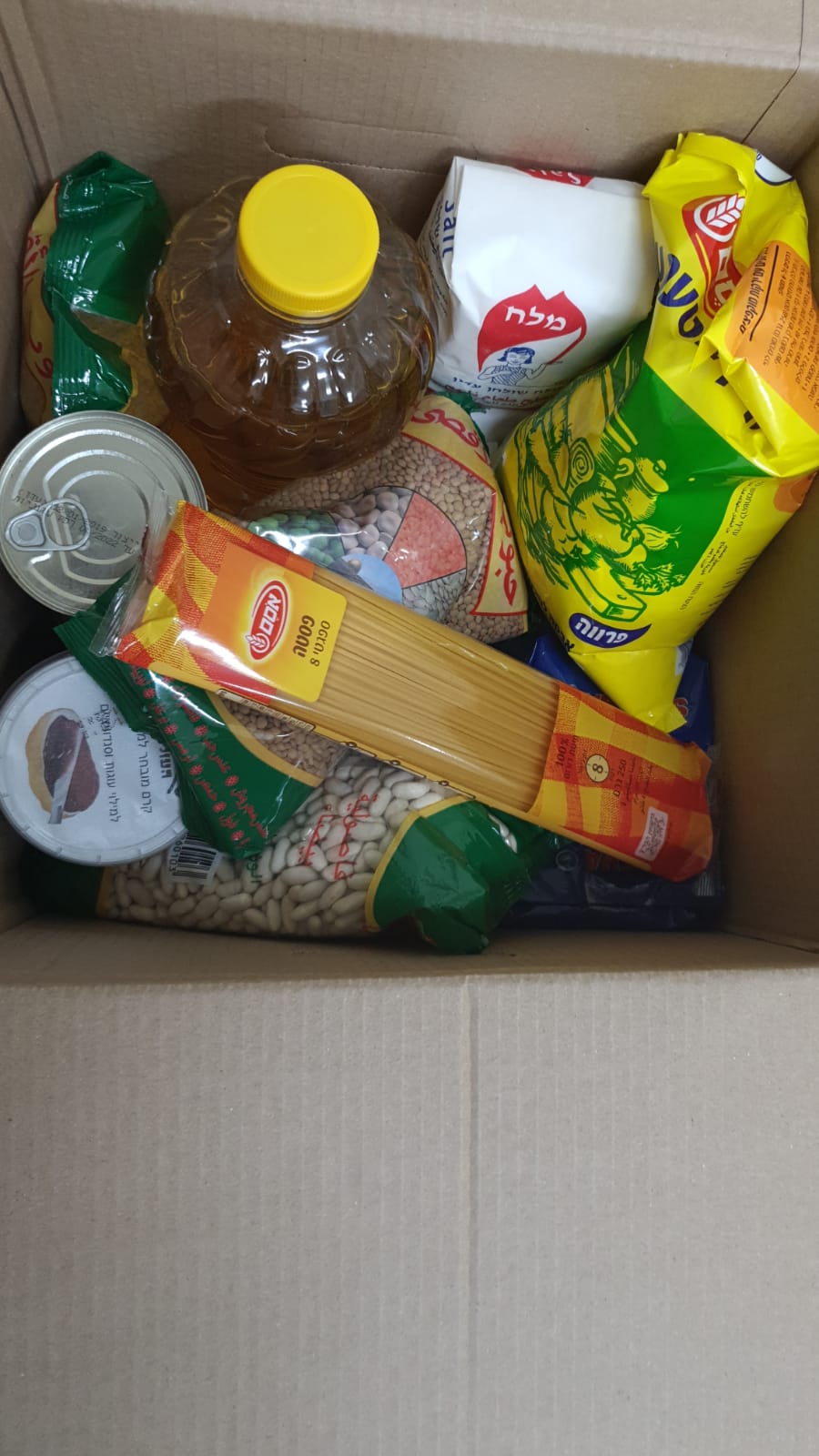 WhatsApp Image 2020-02-06 at 3.26.21 PM.jpeg.jpeg